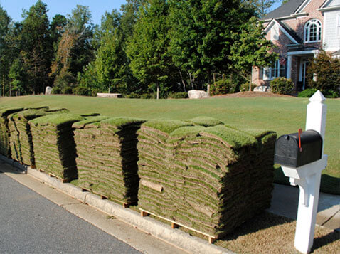 Curbside Delivery Sod, New Orleans